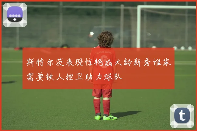 斯特尔茨表现惊艳成大龄新秀谁家需要铁人控卫助力球队